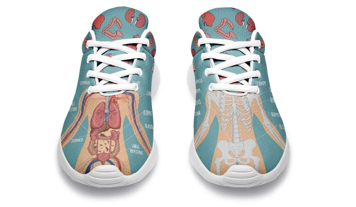 Anatomy Sneakers