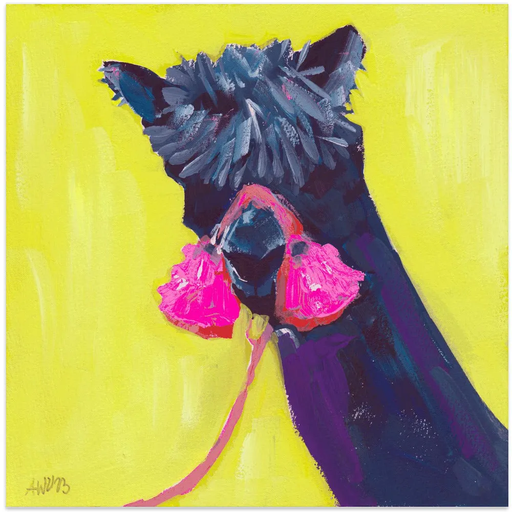 Black Alpaca - Square Stretched Canvas, Poster or Fine Art Print