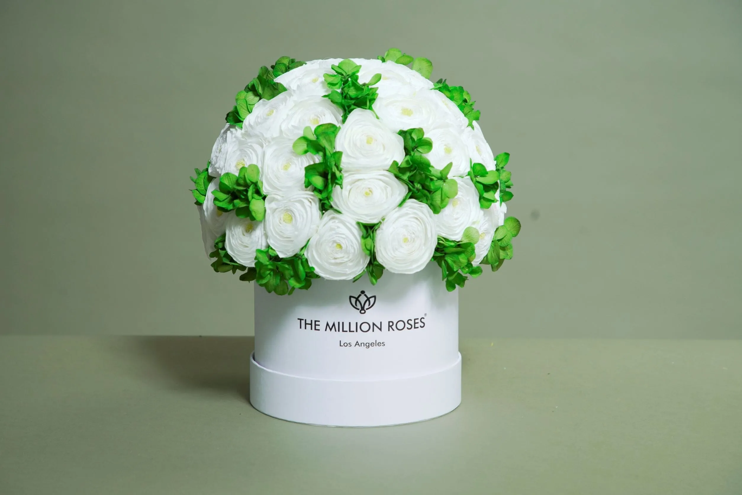 Classic White Box | White Persian Buttercups & Green Hydrangeas